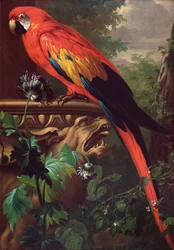 Guacamayo escarlata en un paisaje